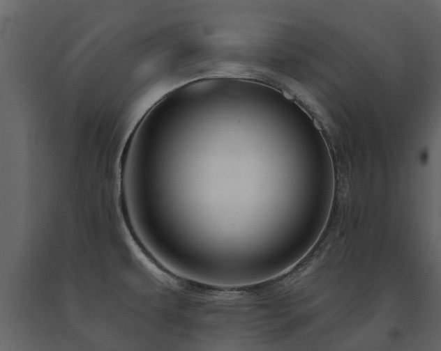 X0000091691479200708231428
