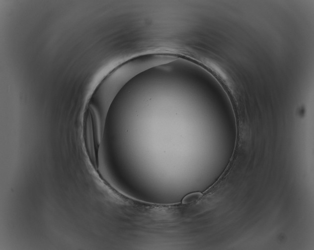 X0000091691480200708231428