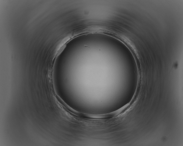 X0000091691481200708231428