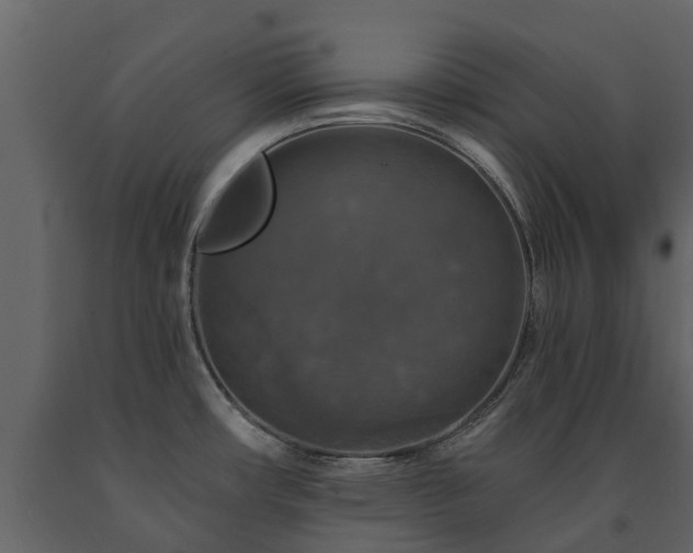 X0000091691482200708231428