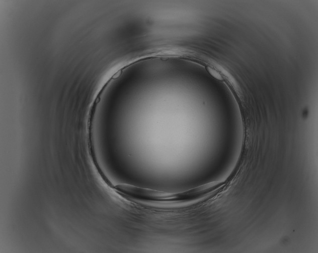 X0000091691483200708231428