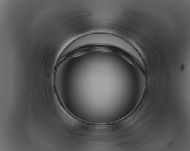 X0000091691484200708231428