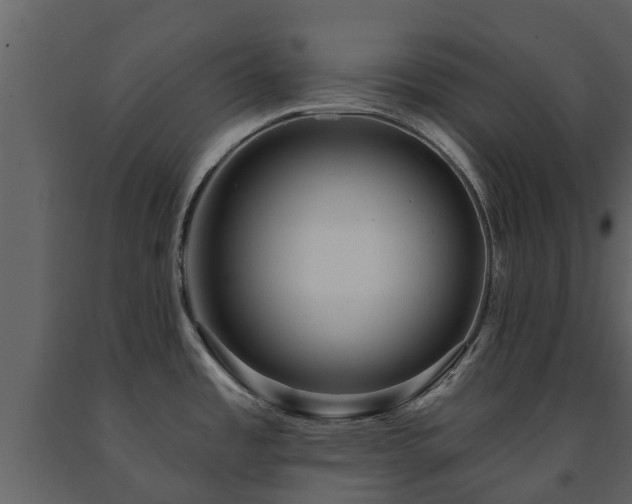 X0000091691485200708231428
