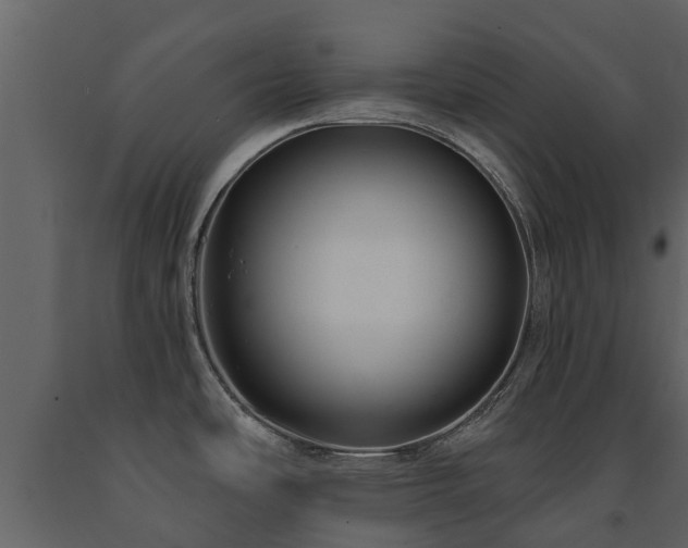X0000091691486200708231428