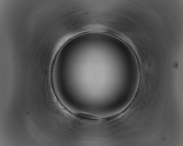 X0000091691488200708231428