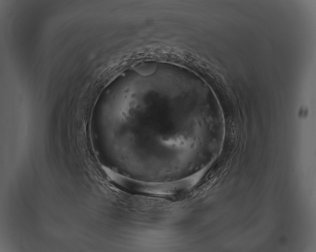 X0000091691489200708231428