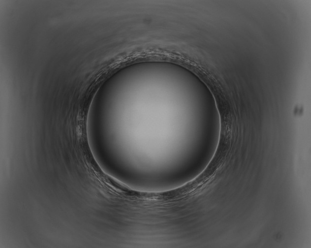 X0000091691490200708231428