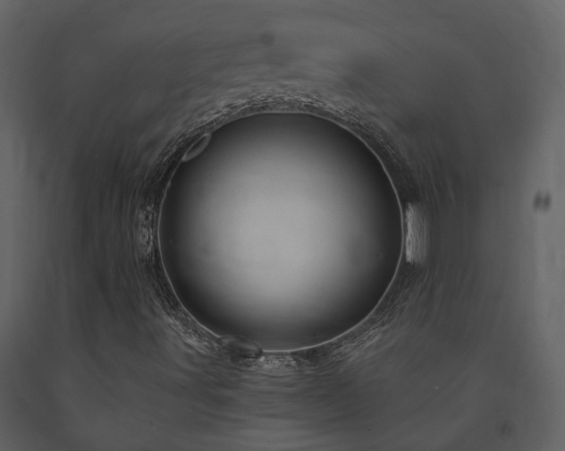X0000091691491200708231428