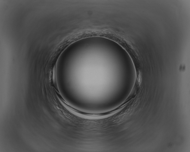 X0000091691492200708231428