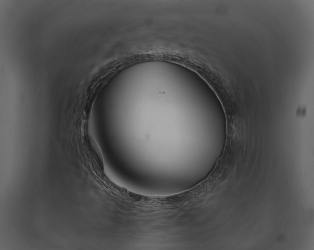 X0000091691493200708231428