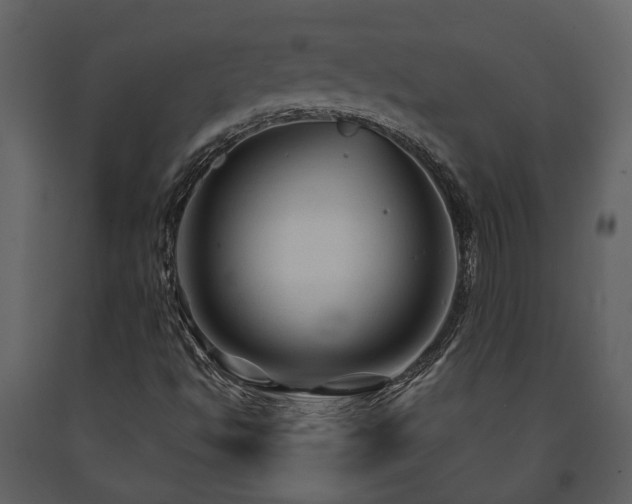 X0000091691494200708231428