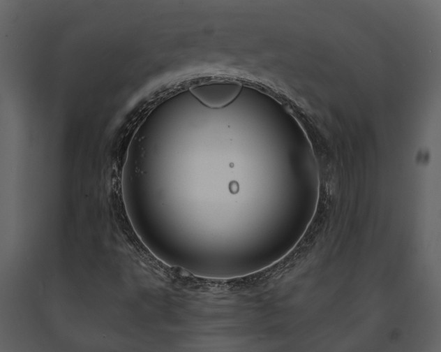 X0000091691495200708231428