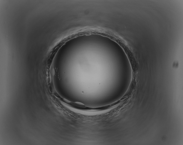 X0000091691496200708231428