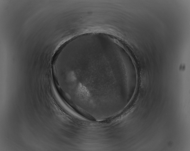X0000091691497200708231428