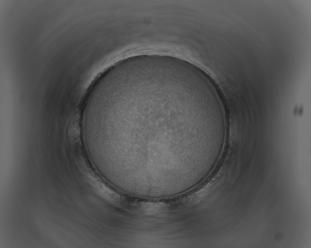 X0000091691498200708231428