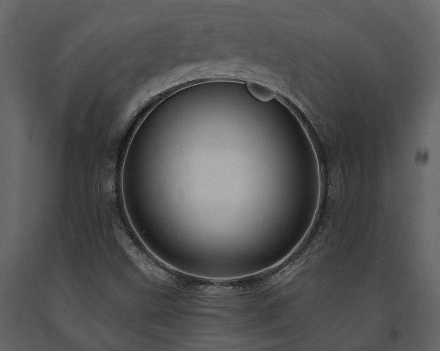 X0000091691499200708231428