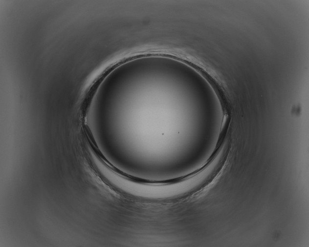X0000091691502200708231428