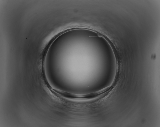 X0000091691503200708231428