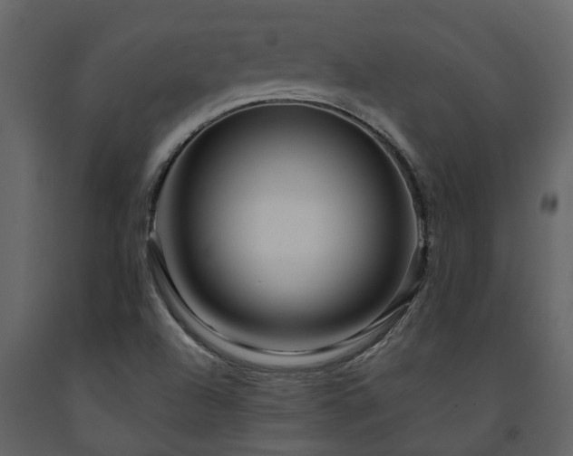 X0000091691504200708231428