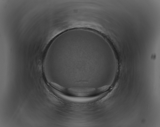 X0000091691505200708231428