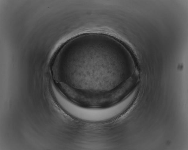 X0000091691506200708231428