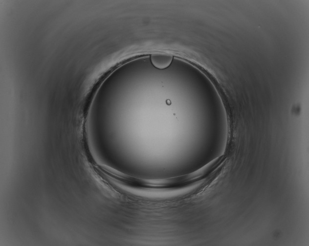 X0000091691507200708231428