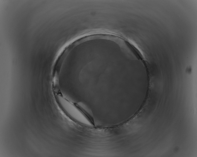 X0000091691508200708231428