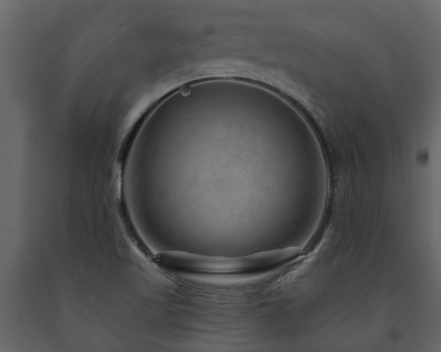 X0000091691509200708231428