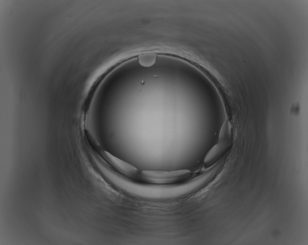 X0000091691510200708231428