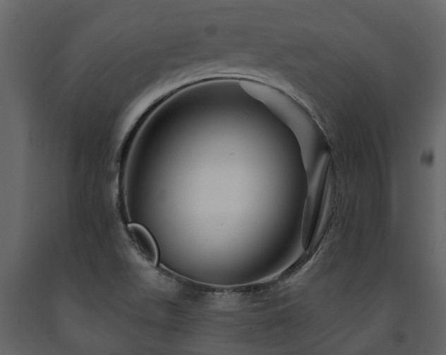 X0000091691511200708231428