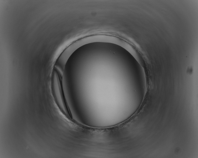 X0000091691512200708231428