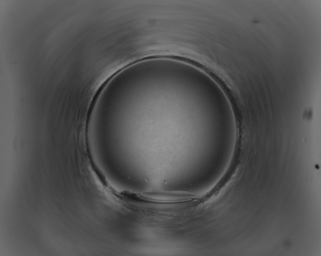 X0000091691513200708231428