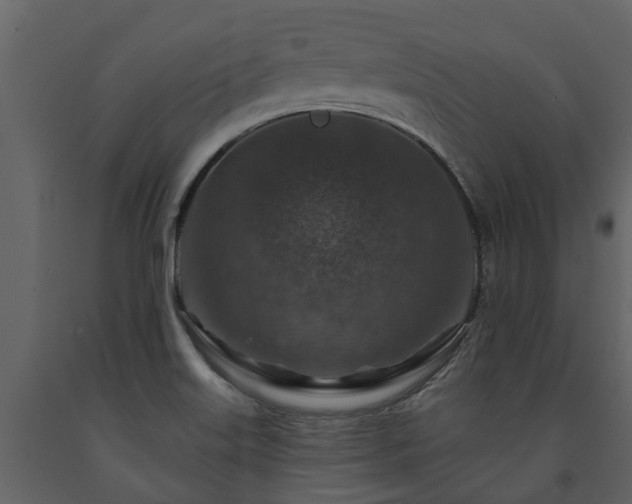 X0000091691515200708231428