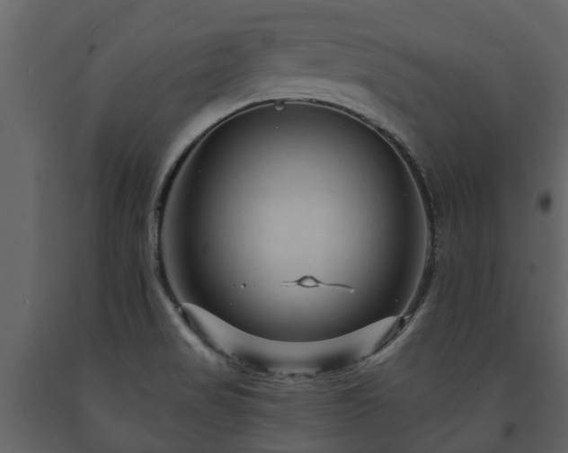 X0000091691517200708231428