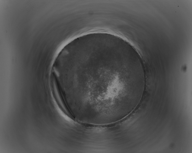 X0000091691519200708231428