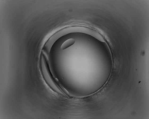 X0000091691520200708231428