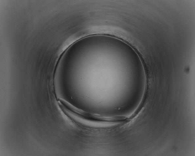 X0000091691521200708231428