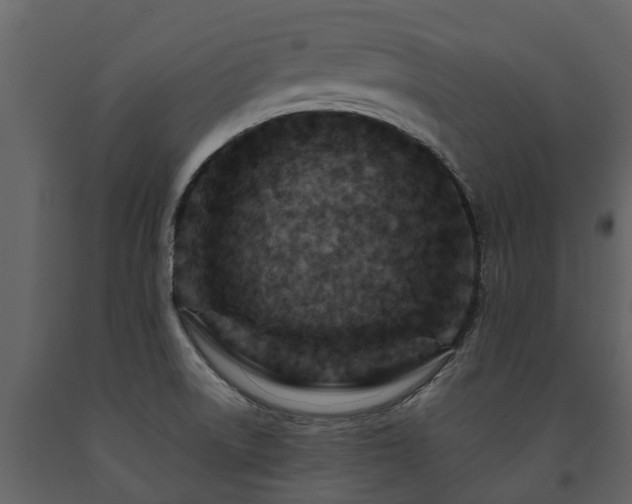 X0000091691522200708231428