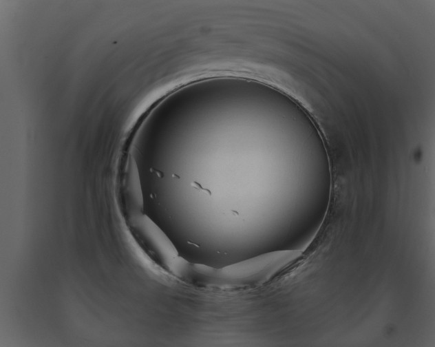 X0000091691523200708231428