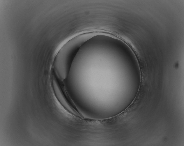 X0000091691524200708231428