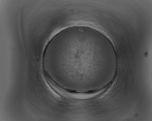 X0000091691525200708231428