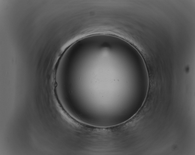 X0000091691526200708231428