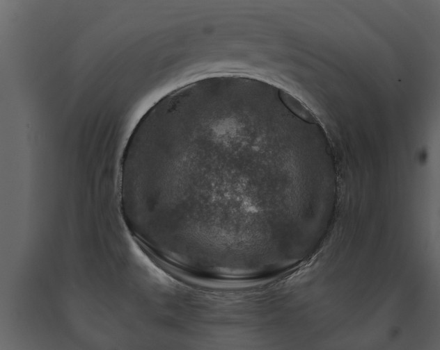 X0000091691527200708231428