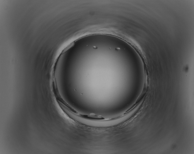 X0000091691528200708231428