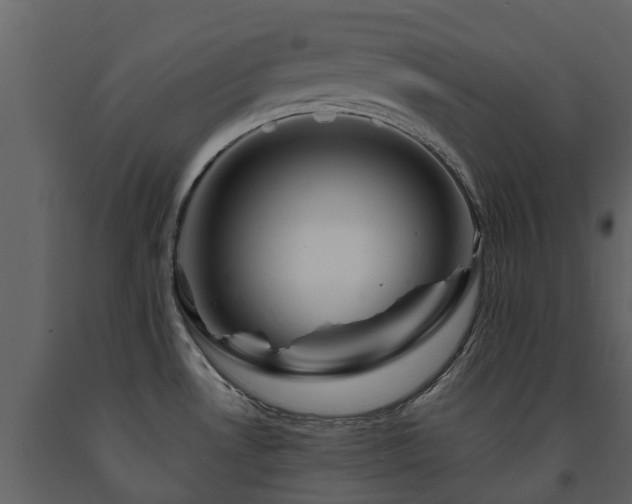 X0000091691530200708231428