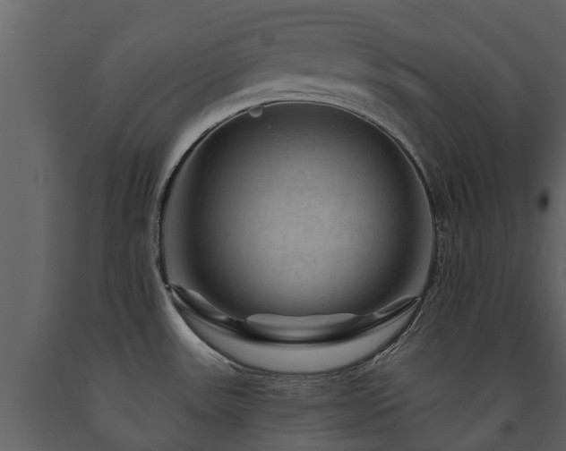 X0000091691531200708231428