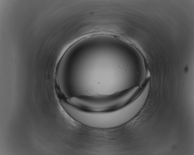 X0000091691532200708231428