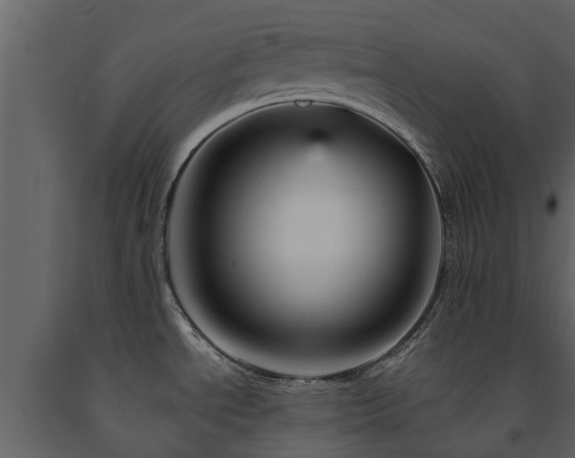 X0000091691534200708231428