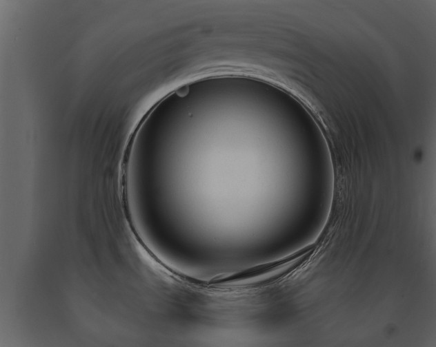 X0000091691535200708231428