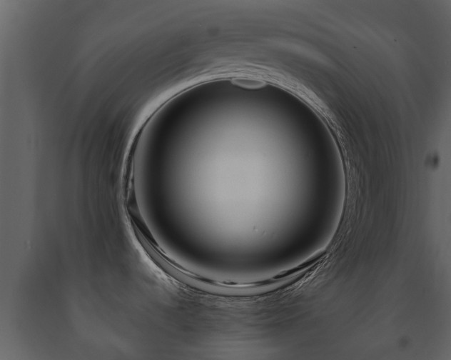 X0000091691536200708231428